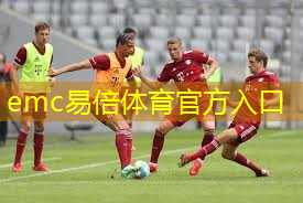 少儿篮球训练营训练器材
